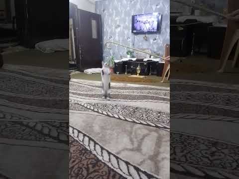 سيف النار كركر Music Electronic Ambientmusic Relaxingmusic Electronicmusic اكسبلور 