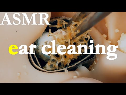 【ASMR ear cleaning】就寝前にきくやわらかな耳かき音色