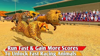 Wild Animals Racing Games 3D || Gameplay | Android Gameplay || Lion, tiger, cheetha & wolf #PGGAMES screenshot 4