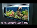 My aquarium rescaping dutch style malayalam