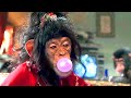 ベイブがサルの家族と出会う | ベイブ 都会へ行く | 映画シーン