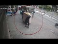התחזו לשליחי וולט נכנסו דרך הקיר וגנבו תכשיטים בשווי מיליונים התחזו לשליחי וולט נכנסו דרך הקיר וגנבו תכשיטים בשווי מיליונים