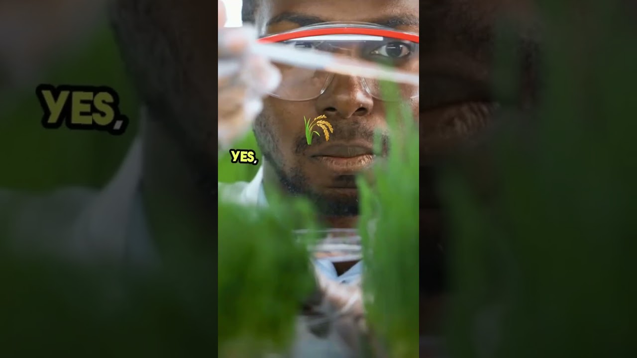 Happy 4️⃣2️⃣0️⃣🪴 