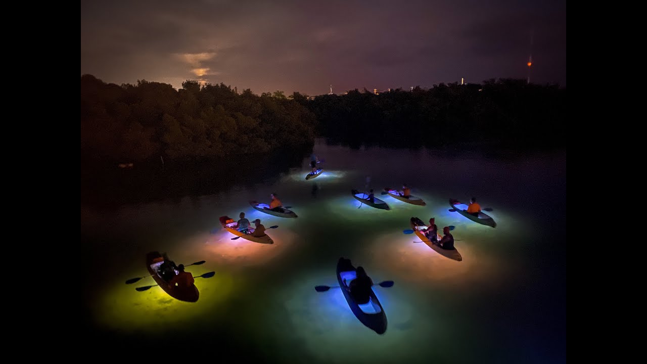 key west night kayak tour