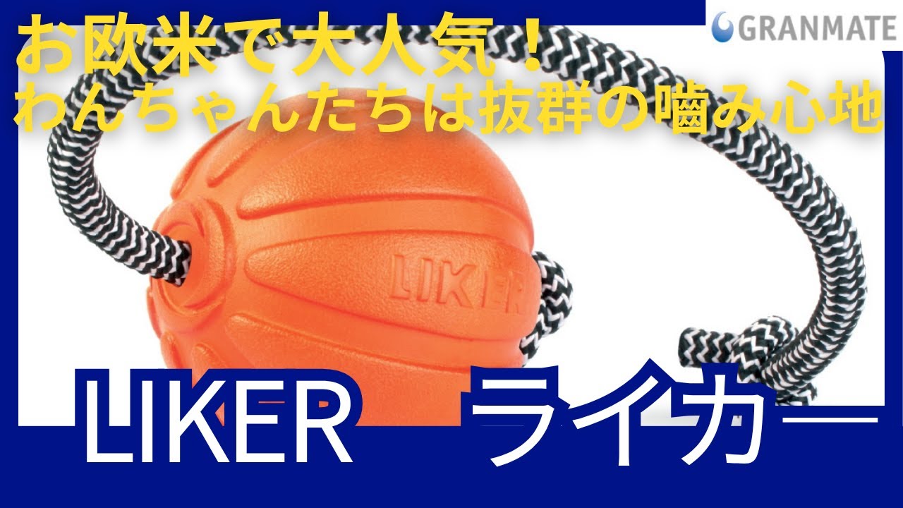 未使用】ライバーハウス TREKKER 4 4人用 オレンジ アルミポール