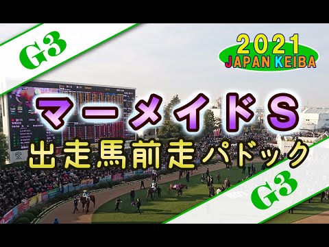 【競馬パドック】マーメイドS・前走パドック（2021年）