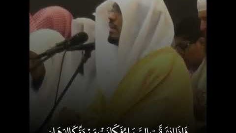 ياسر الدوسري{فإذا انشقت السماء}سورة الرحمن