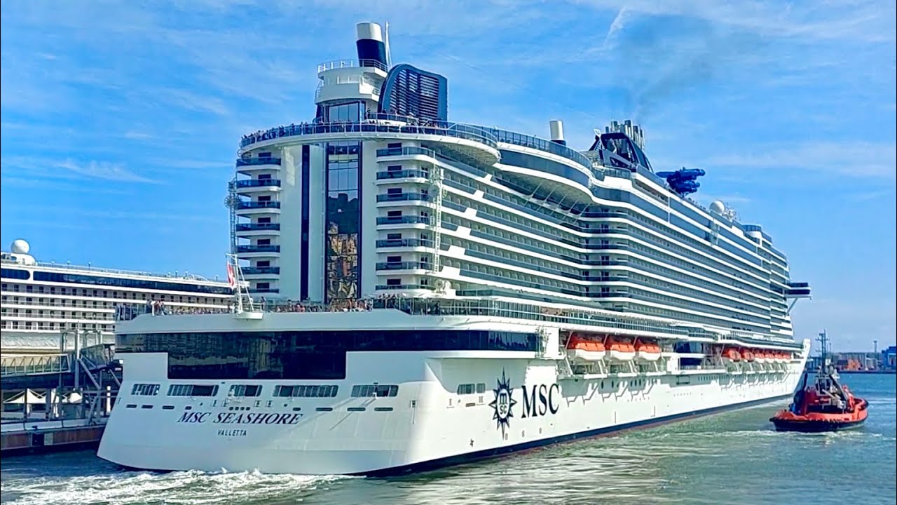 msc cruise ship seashore