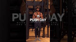 Perfect Intermediate Calisthenics Push Day Workout