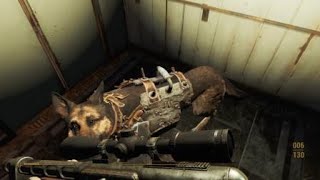 Elevators be seriously broken - Fallout 4.