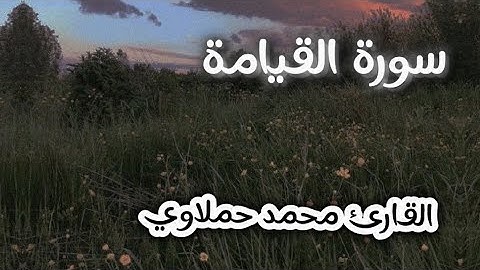 تلاوة رائعة||سورة "القيامة" || القارئ محمد حملاوي Sorat Al_qiamah" •Mohamed hamlaoui"