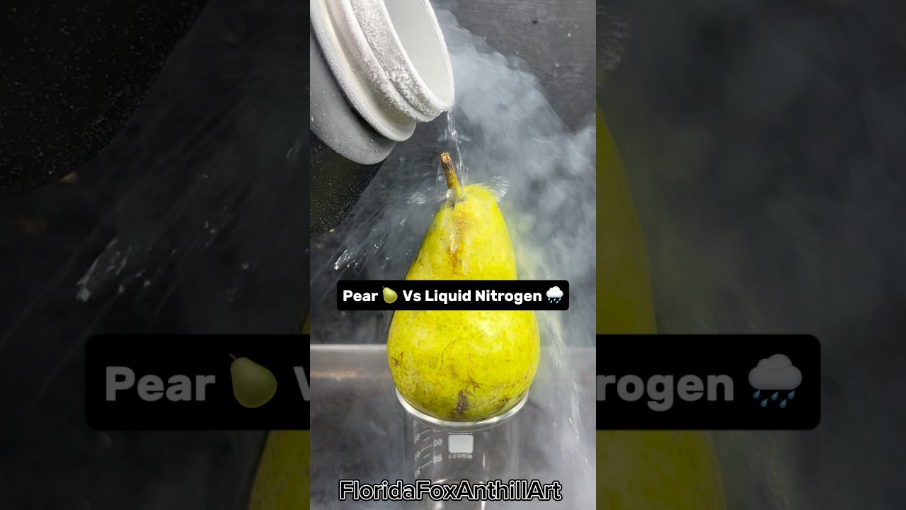 Pear 🍐 Vs Liquid Nitrogen 🌧️ 