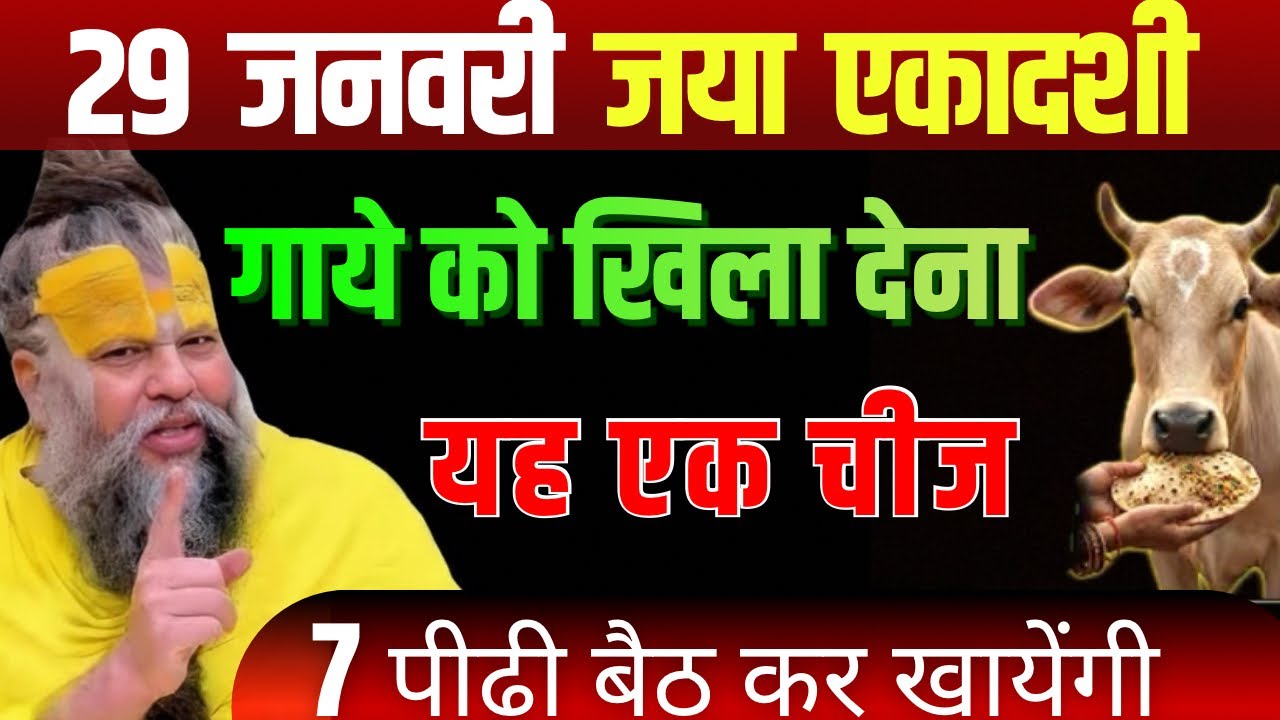 29 जनवरी जया एकादशी | गौ माता को खिलाते ही खुल जाएगा भाग्य | शास्त्र प्रमाण 