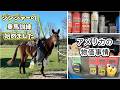 アメリカの物価事情・ジンジャーの乗馬訓練を始めました