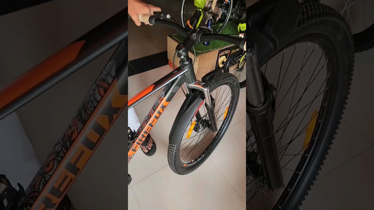 Single Speed Monster 29er By Firefox 