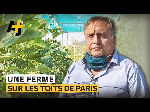 Vidéo: La Ferme Sur Les Toits De Paris La Plus Grande Du Monde