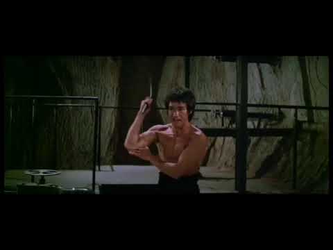 Bruce Lee Mınçıka Sanatı