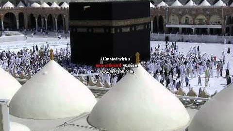 القارئ محمد حسام..سورة الفاتحه والزلزله