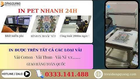 IN PET - IN NHANH 24H #inpet #invaidangquang #invai #invaicotton 