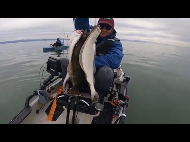 A long video due to so much Action on California Halibut! Double limits in  1 hr! 2022 