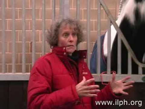 Mary Wanless Lecture Demo at ILPH/World Horse Welf...