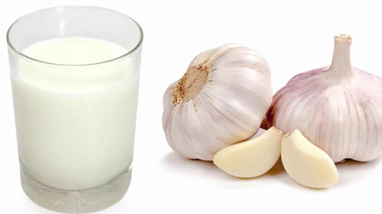 чеснок с молоком. чесночная вода от высокого давления. чеснок в молоке. чеснок в молоке. чеснок с молоком.