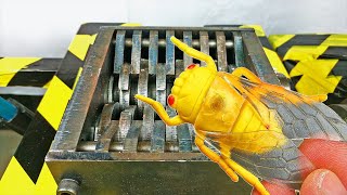 Shredder Vs Insect Toys Satisfying