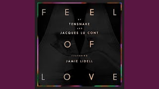 Feel Of Love (Radio Edit)