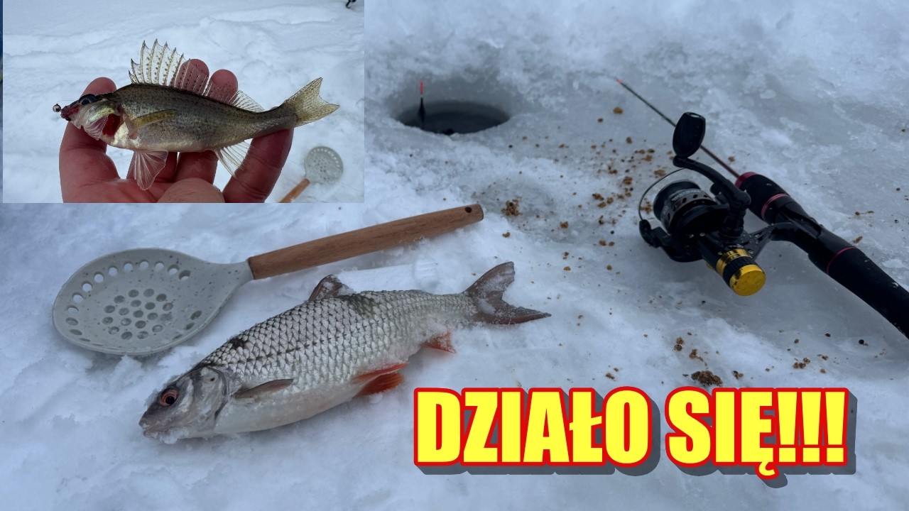 MEGA GRUBY LÓD!!! MASA JAZGARZY I PŁOCIE!!!!