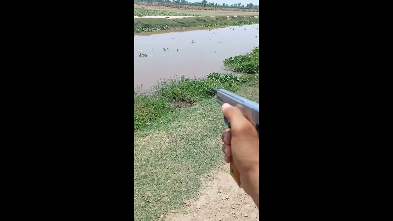 30 Bore Pistol 10 Shot Silver Color Test Fire
