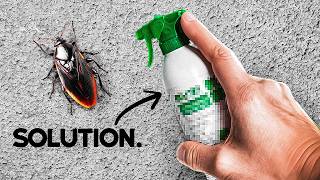 Why Your Apartment Complex WON'T/CAN'T Solve Your Roach Problem 👎😓