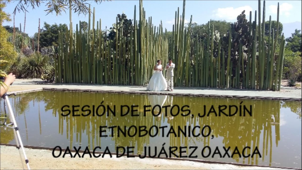 SESIÓN DE FOTOS NOVIOS ETNOBOTANICO OAXACA