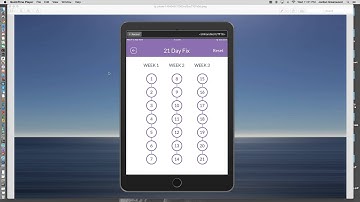 How to use the 21 day fix app