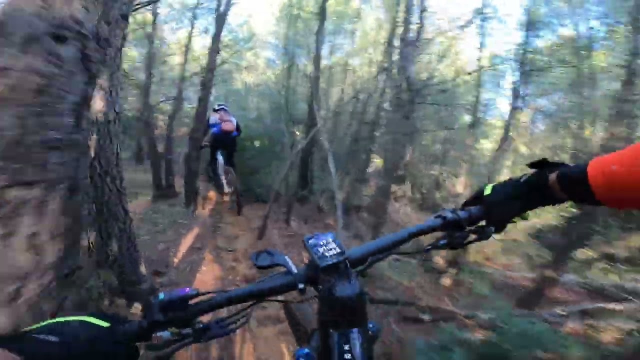 Sendas delicades por Sant Marti Sarroca 