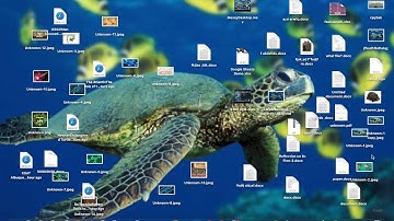 what file? Organizing your computer: files, folders, etc.