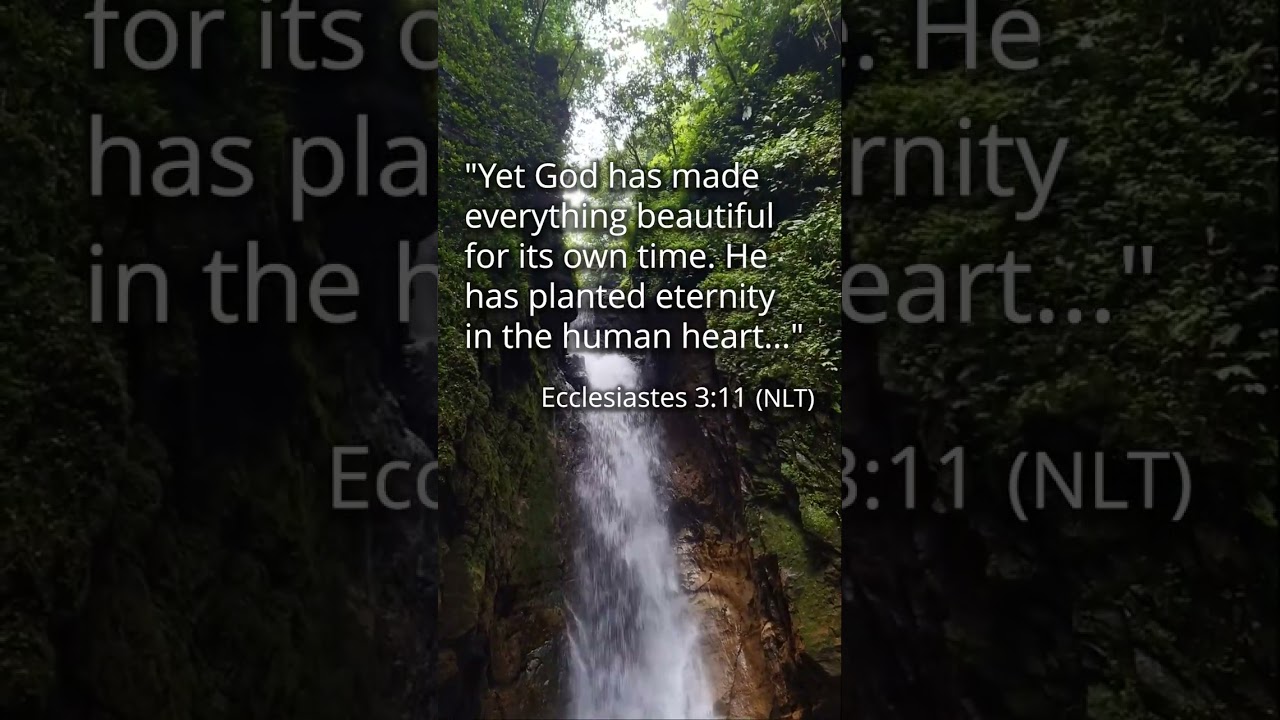 Trust His Timing