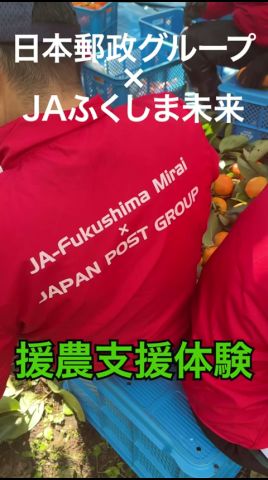 【援農支援】日本郵政グループ×JAふくしま未来　#日本郵政 #郵便 #郵便局 #ja #jaふくしま未来 #農業 #支援 #柿 #収穫 #農業 #福島県 #秋 #おいしい