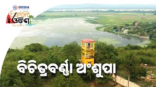 Ansupa Lake | Explore Odisha Season 2 | Prameya News7