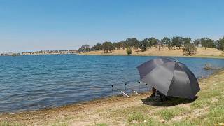Information Late Summer Catfish and Carp Fishing from the Bank (Lake Camanche) Update