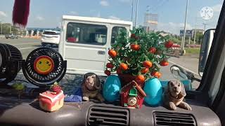 ROAD TRIP GOING TO MARILAO BULACAN WITH MY CO WORK