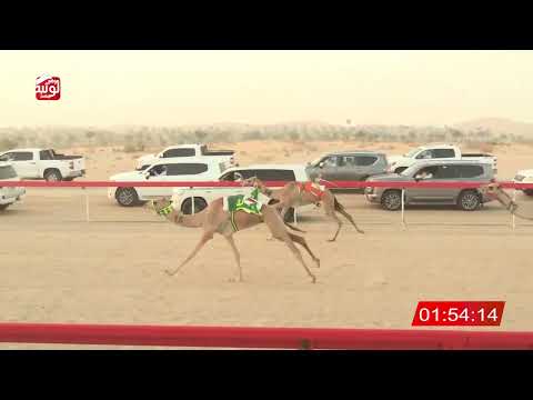 الشوط 1 مزون ل مطر راشد علي بن مفتاح الشامسي 4 49 شارة الديوان 2025 10 05 حقايق الخزنه