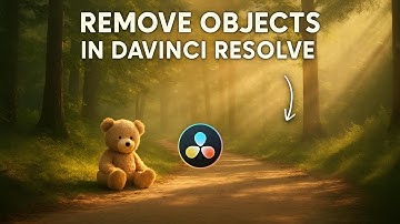 Hoe verwijder je objecten uit video in Davinci Resolve Studio