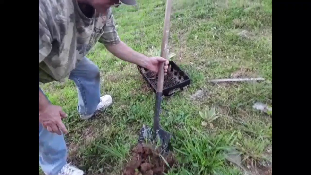 bible-2nd-kings-chapter-11-and-12-youtube