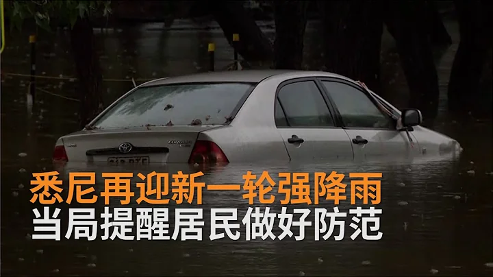 警惕洪水山體滑坡：悉尼新一輪強降雨來襲 降雨量已超年均值 | 澳洲新聞 | SBS中文 - 天天要聞