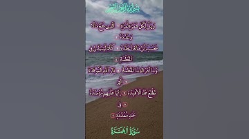 🌿 القرآن الكريم 🌿 سورة الهمزة •
