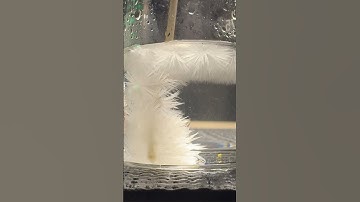 Science Expert Shares TOP ICE EXPERIMENTS You Need to See