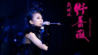 〖永不低頭的花朵〗戴佩妮Penny -《野薔薇》演唱會 Live Concert Part 2/4-『凋零』【Official Video】