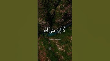 #قرآن #القرآن_الكريم #تلاوة_خاشعة #اكسبلور #quran #لايك #حالات_واتس #تيك_توك
