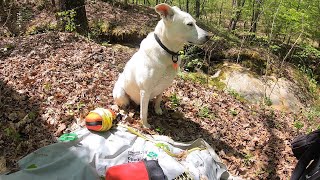 Setting a Climbing Line with Removable Retrieval Line