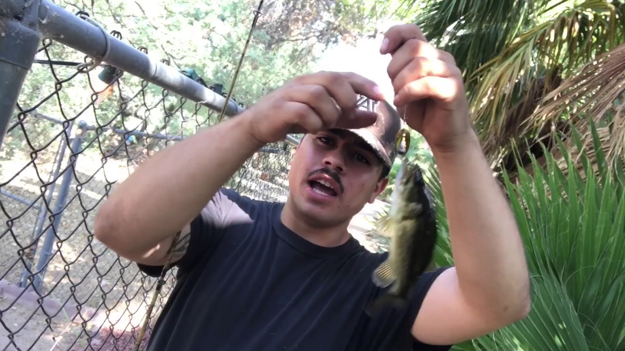Bass Fishing Tucson az - YouTube